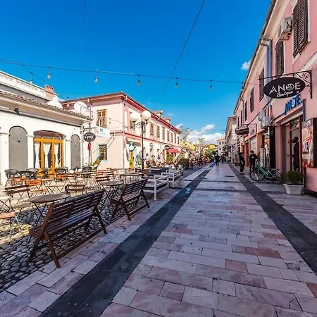 The Vibrant Hub Shkoder