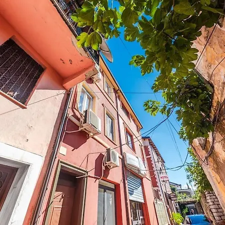 The Vibrant Hub Shkoder